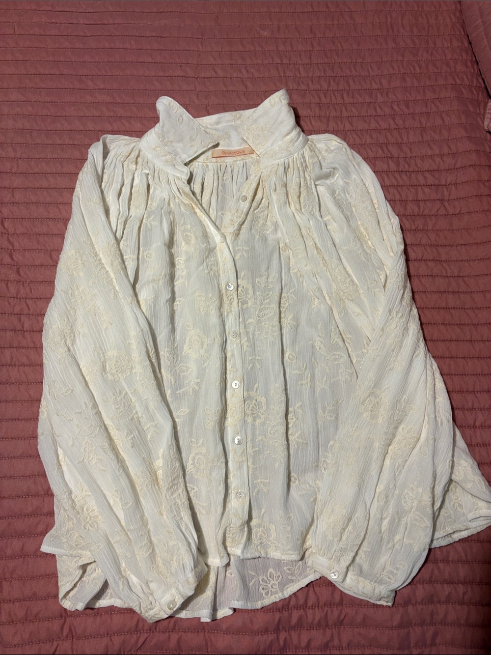 Olivaceous Cream Embroidered Button-Down Blouse